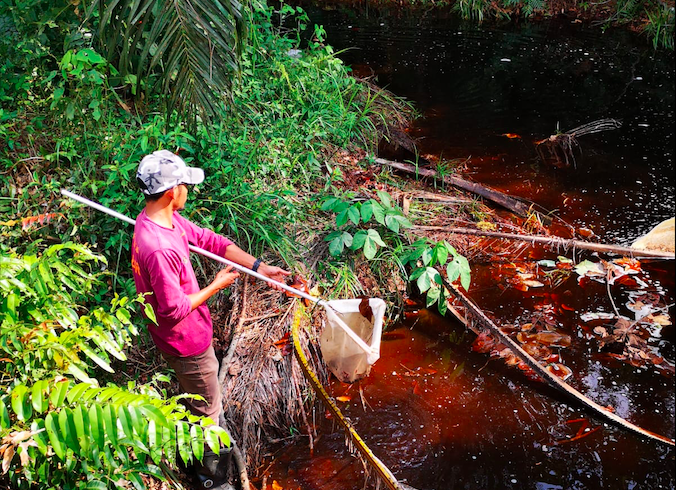 Screen Shot 2020-04-06 at 11.54.17