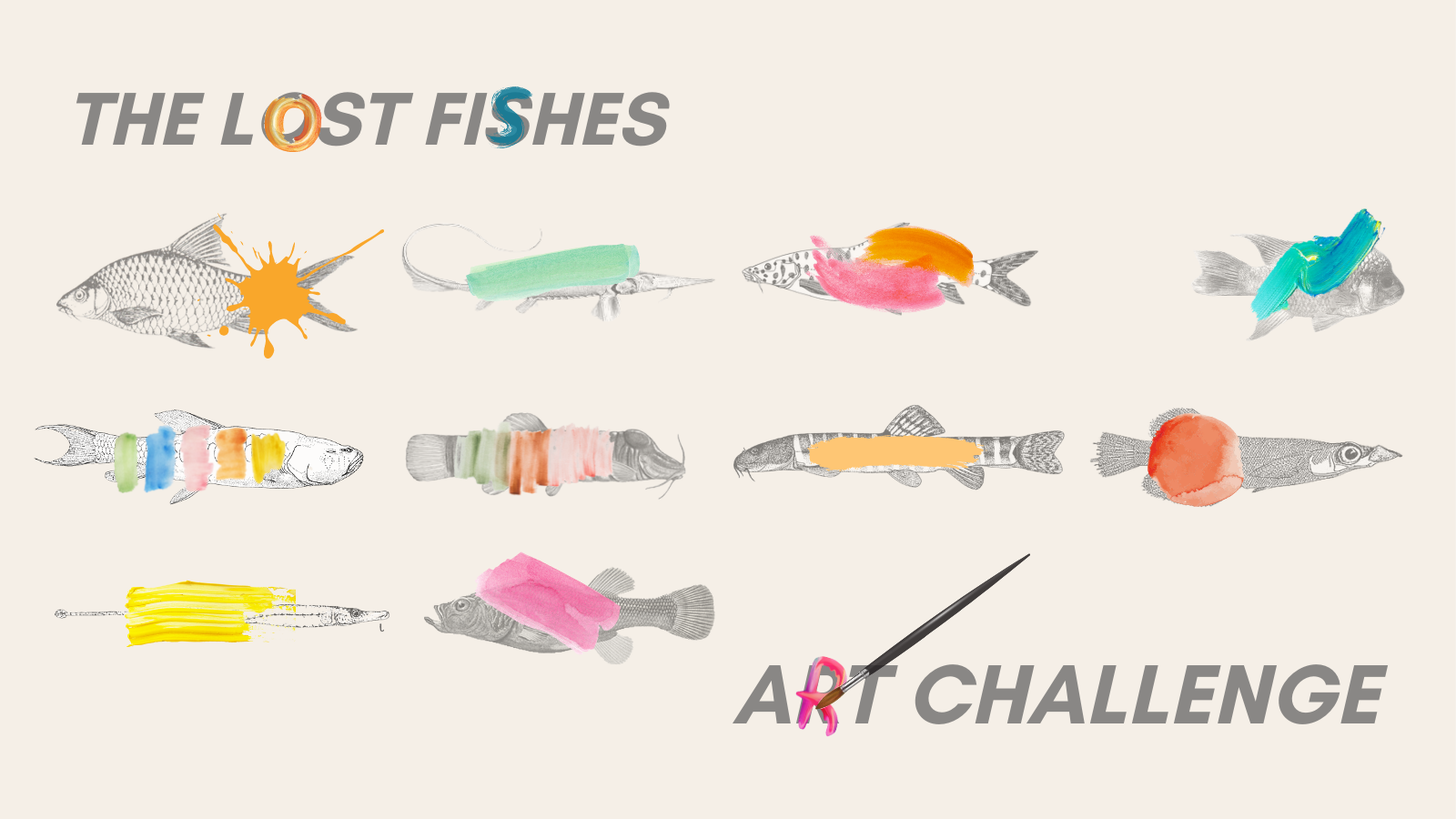 Lost Fishes A