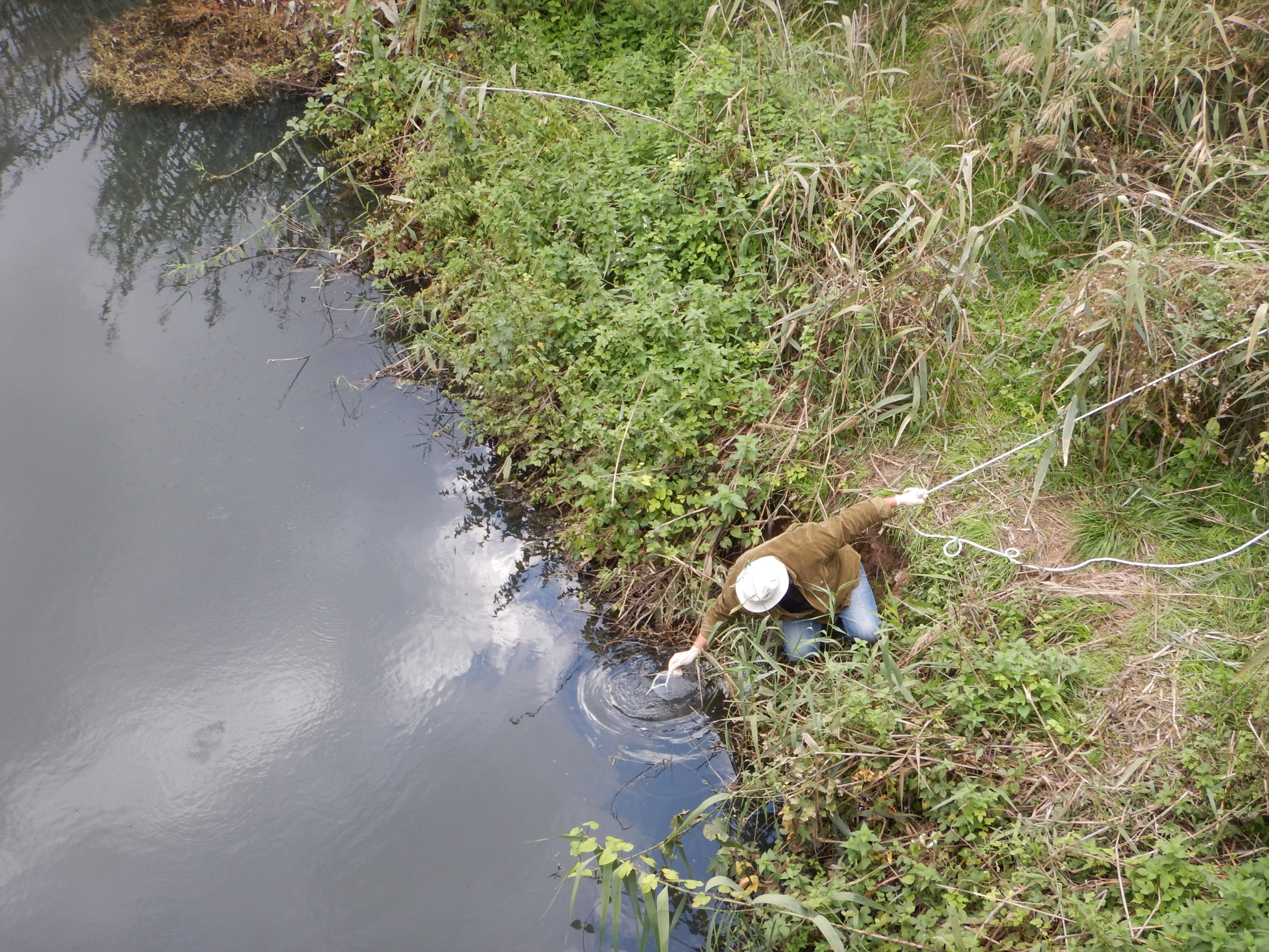 Collecting Water samples for eDNA analysis