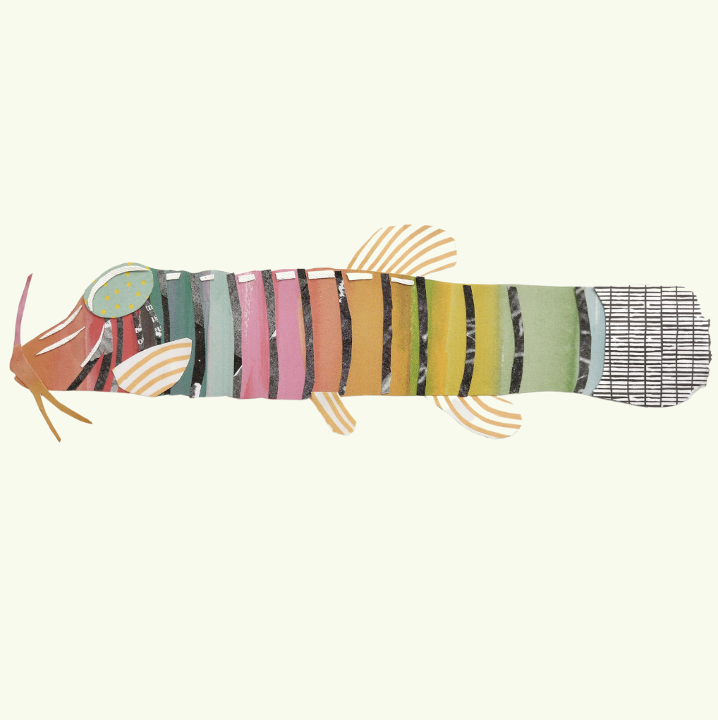 Fat catfish - Joanna Bowley
