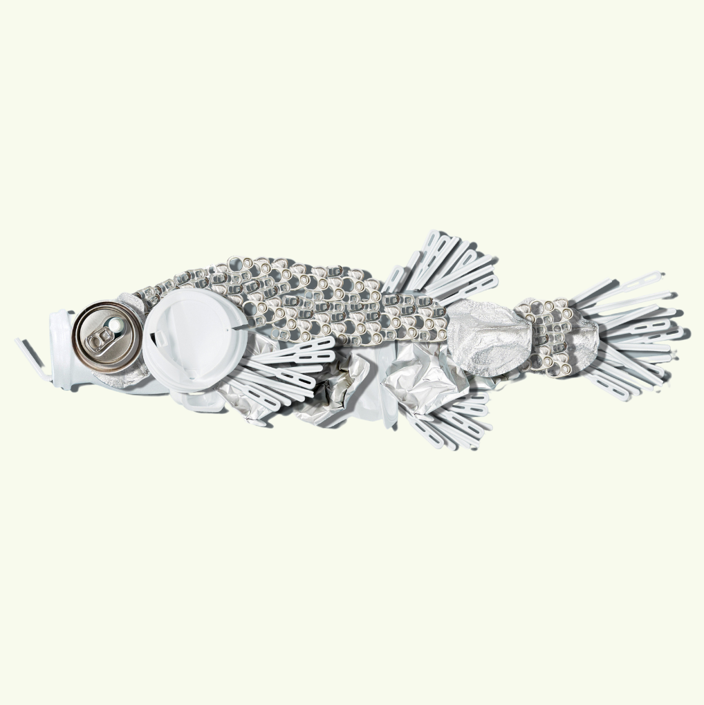 Titicaca orestias - Tracy Sachs Kuhlman