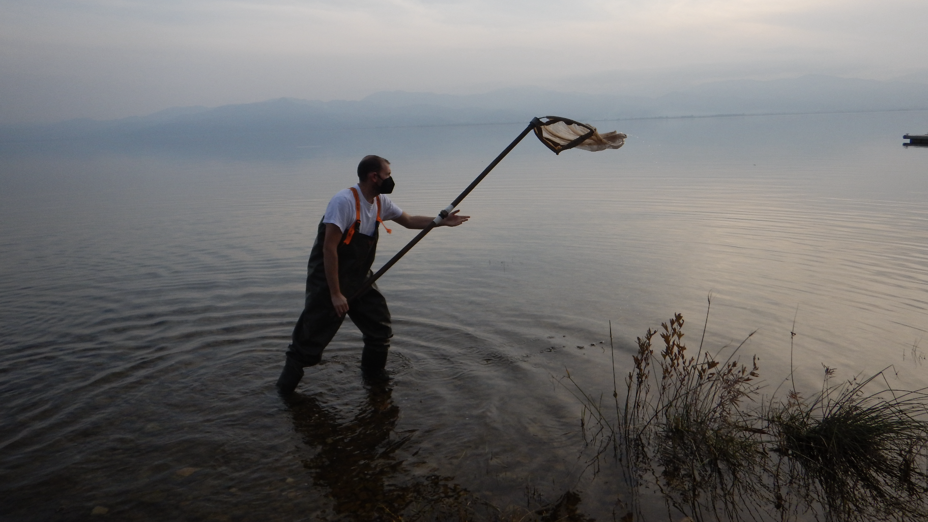 Sampling for Economidichthys trichonis