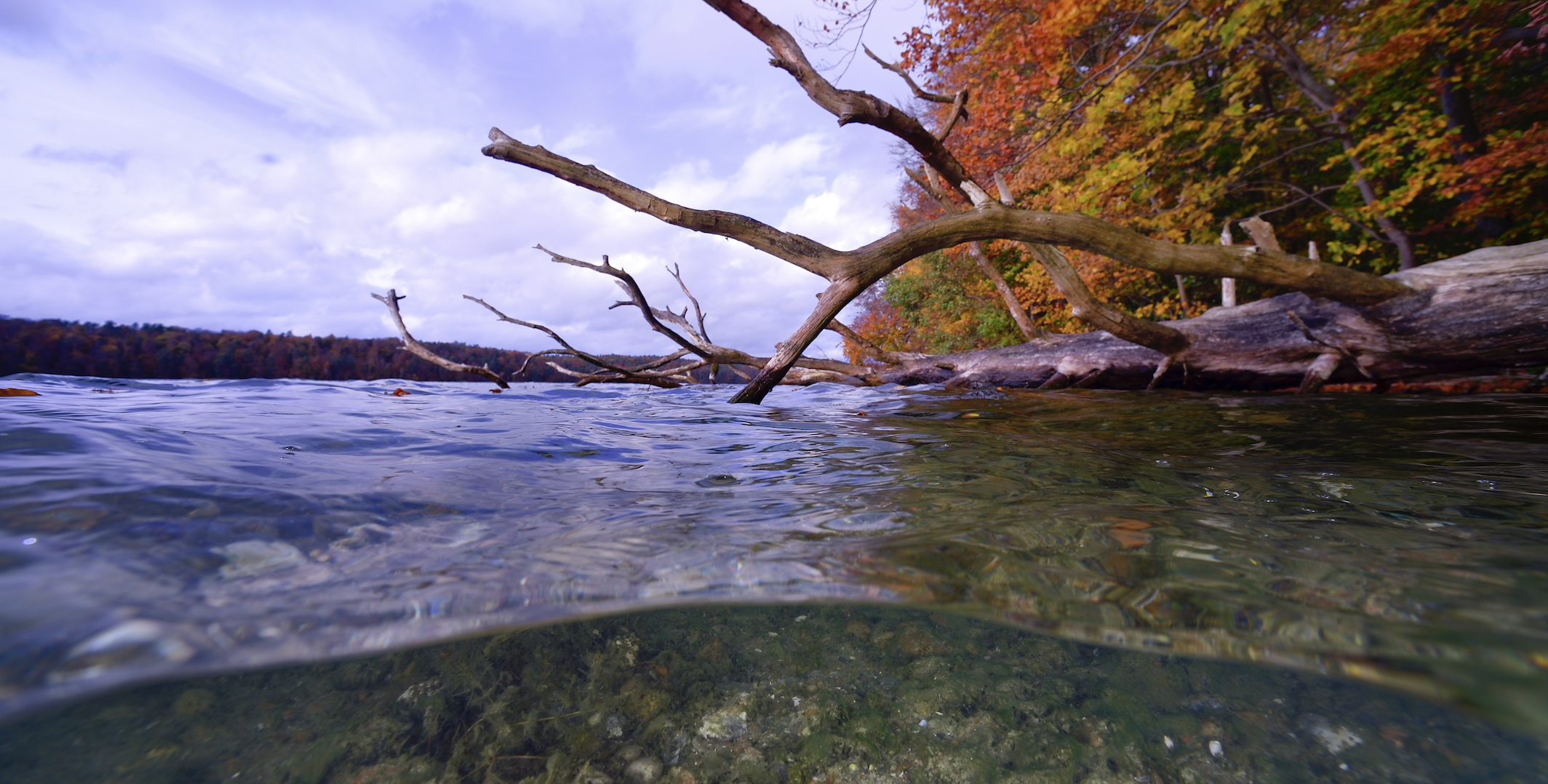 Screenshot-2021-12-01-at-15.57.22