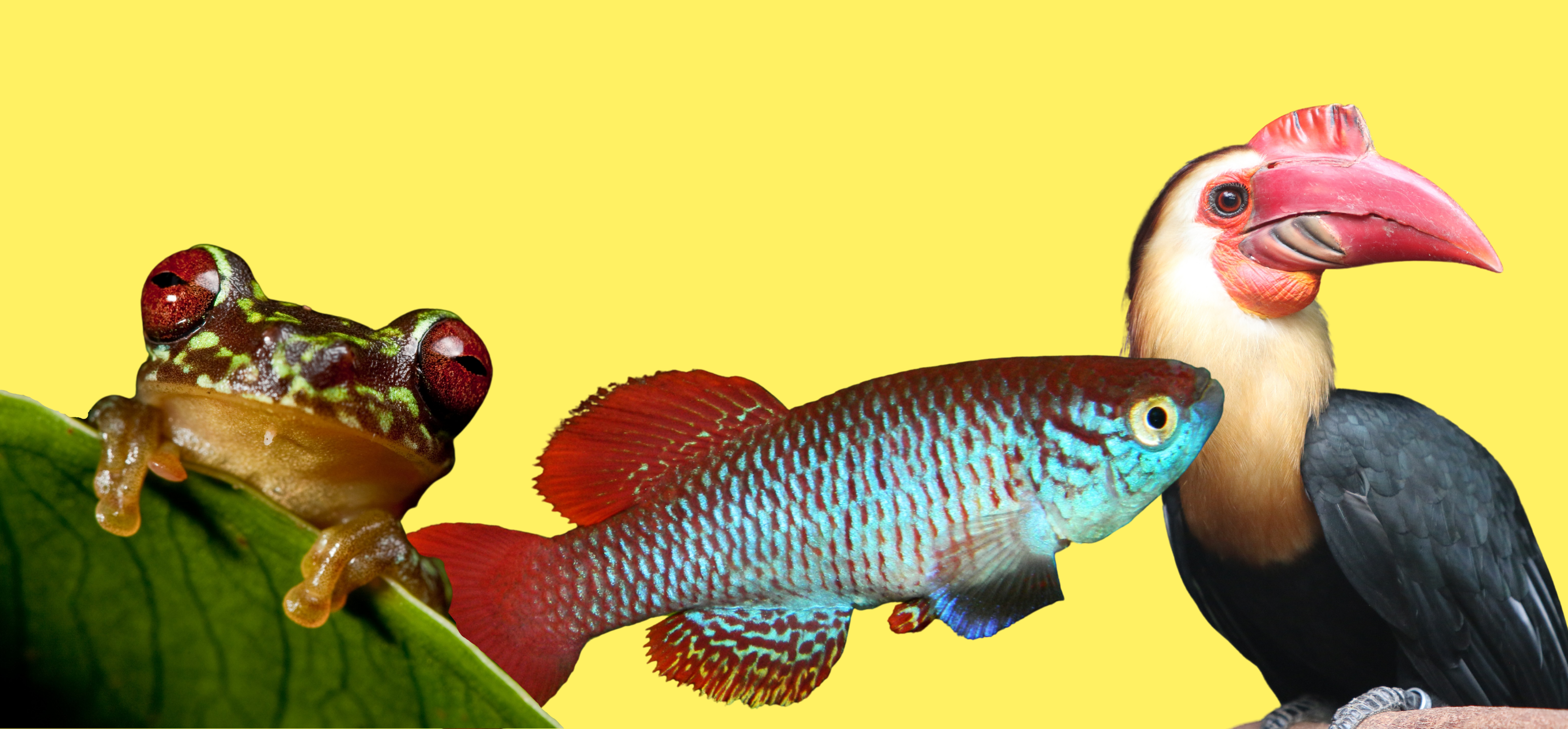 Keep them in the running marathon fundraising