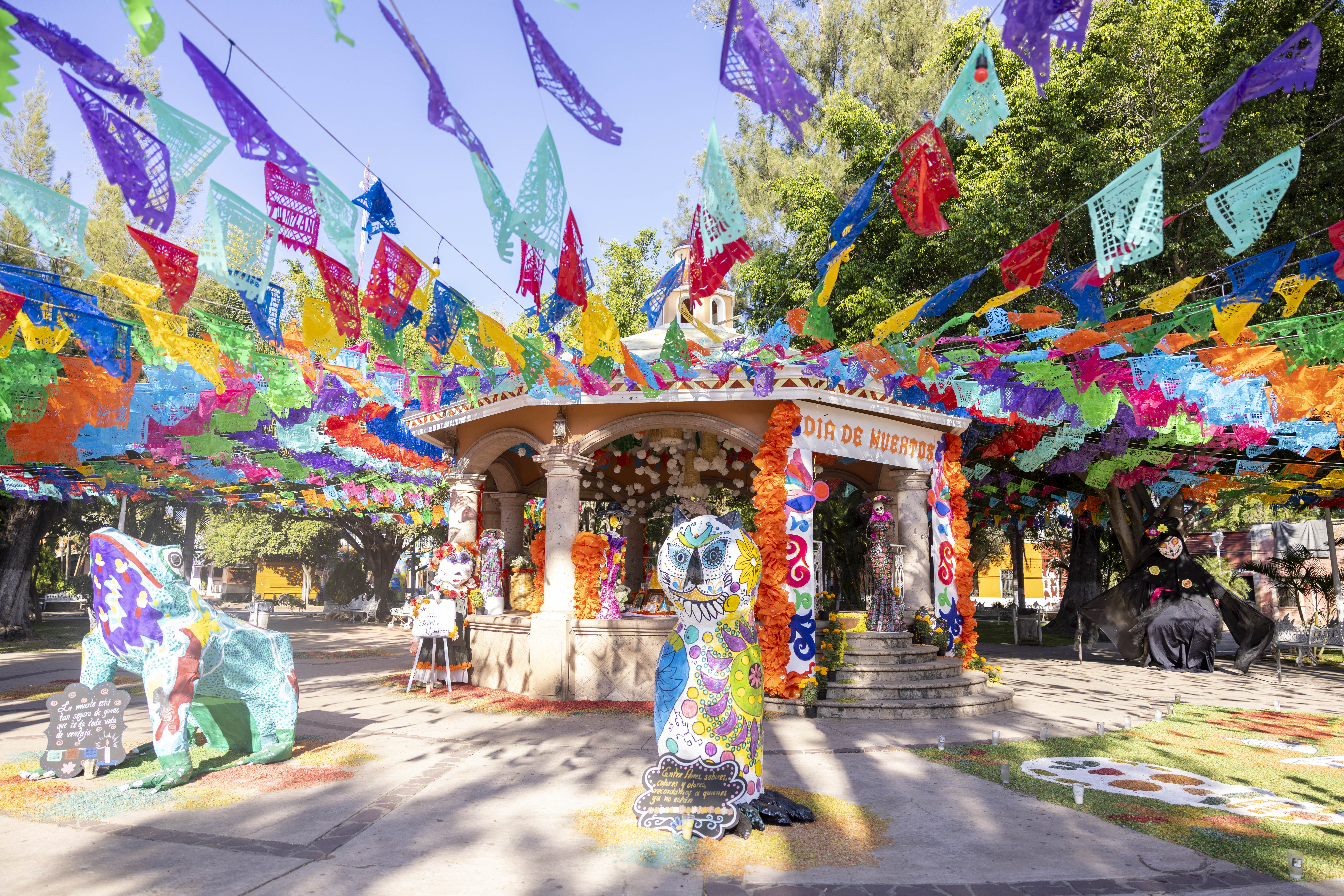 Day of the Dead, or Día de los Muertos celebrations in Mexico, ahead of the golden skiffia release. Colourful decorations in the town. Credit Manfred Meiners
