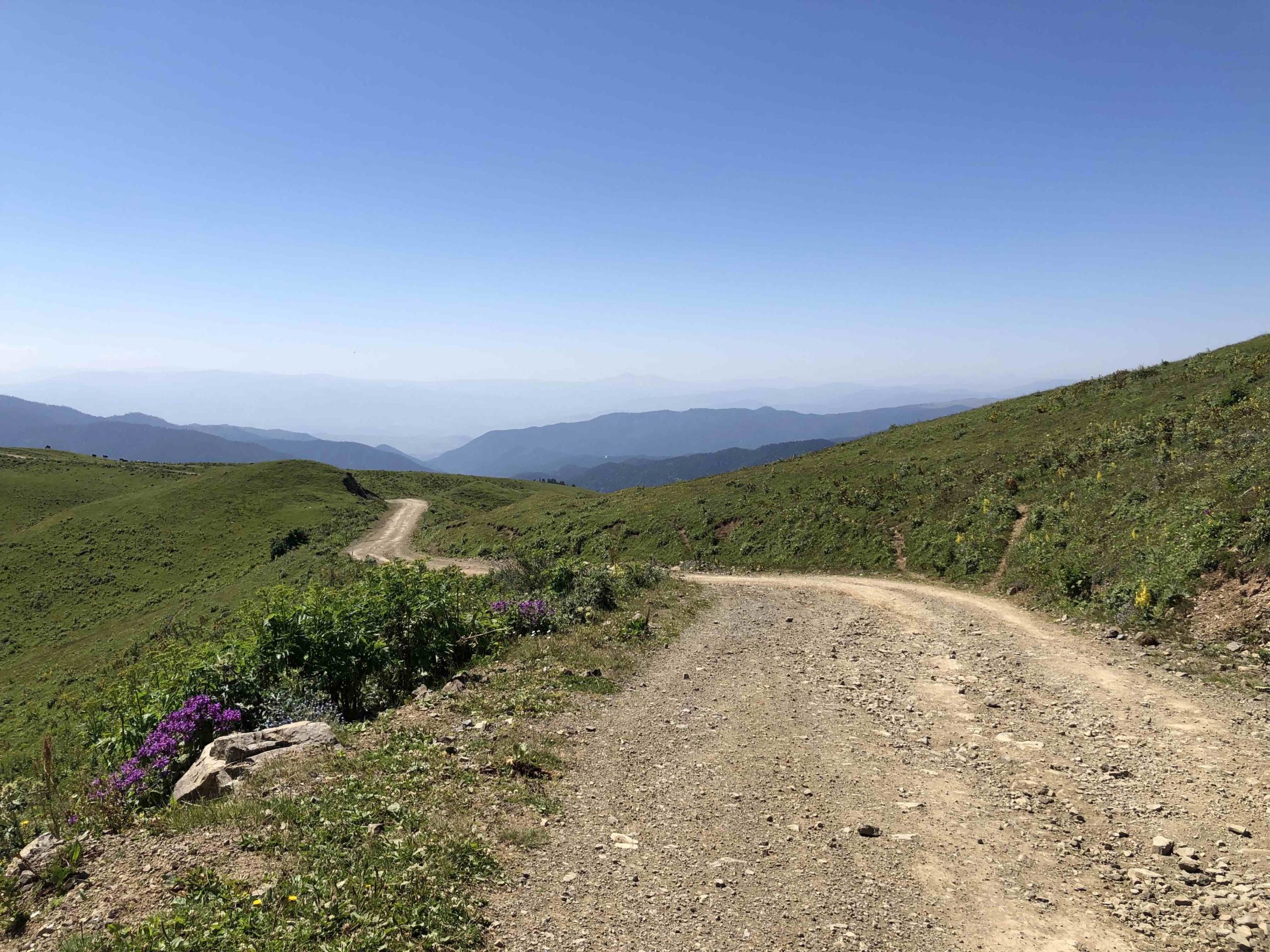 A photograph of a rural cycle path on Matt Spencer’s cycling for sturgeon journey.
