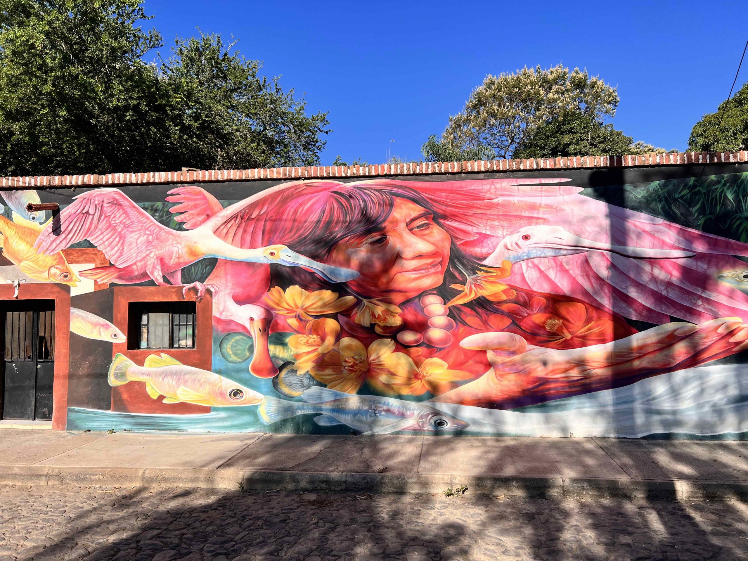 A colourful mural in Mexico taken during the expedition to return freshwater golden skiffia to the wild. A mural near the Teuchitlán River in Jalisco, Mexico, of Consuela, a local teacher and conservationist, and the golden skiffia. Rivers important.