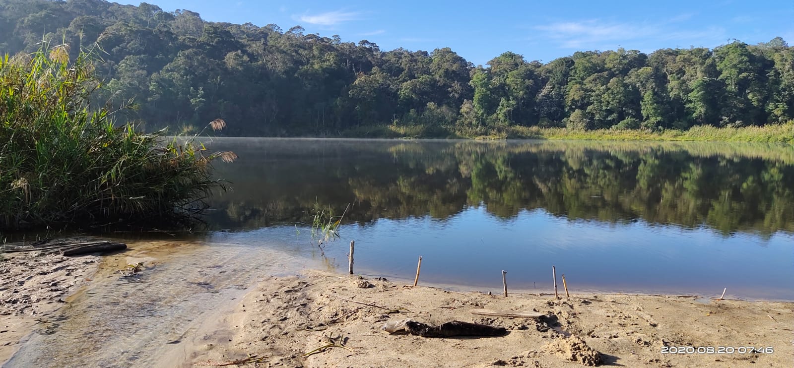 A photograph of the freshwater habitat of the Kalimpa’a ricefish, discovered by Abdul Gani.