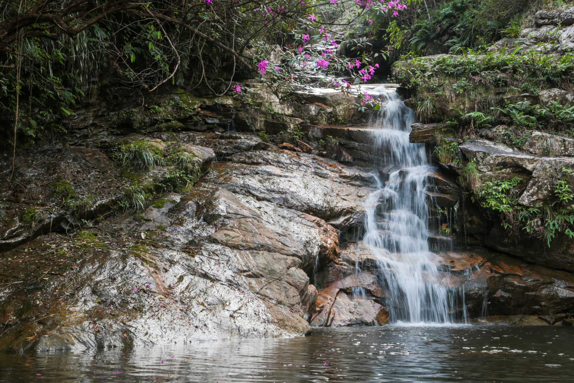 Freshwater habitat © Benjamin Webb