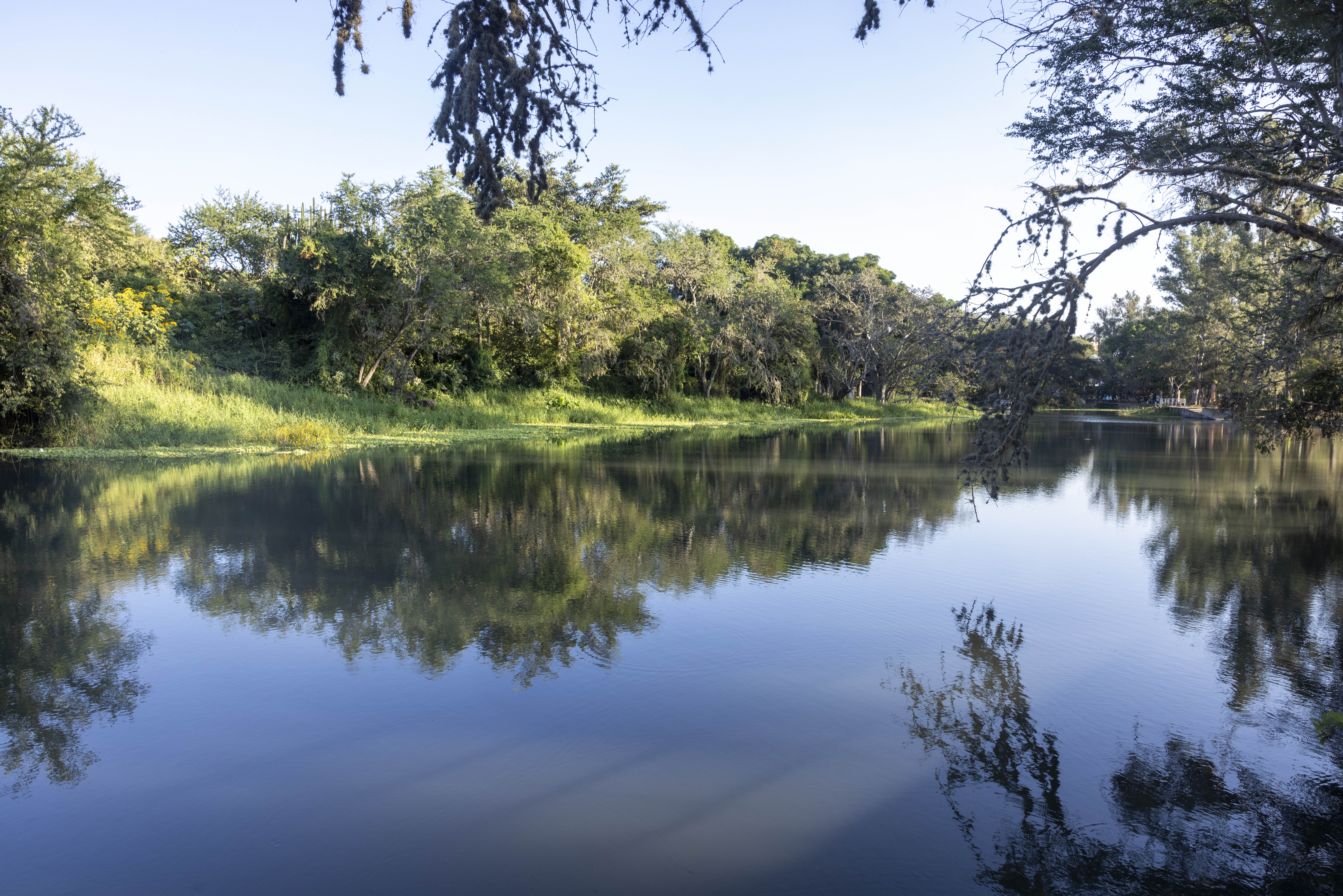 Teuchitlán, Mexico © Manfred Meiners Rewild