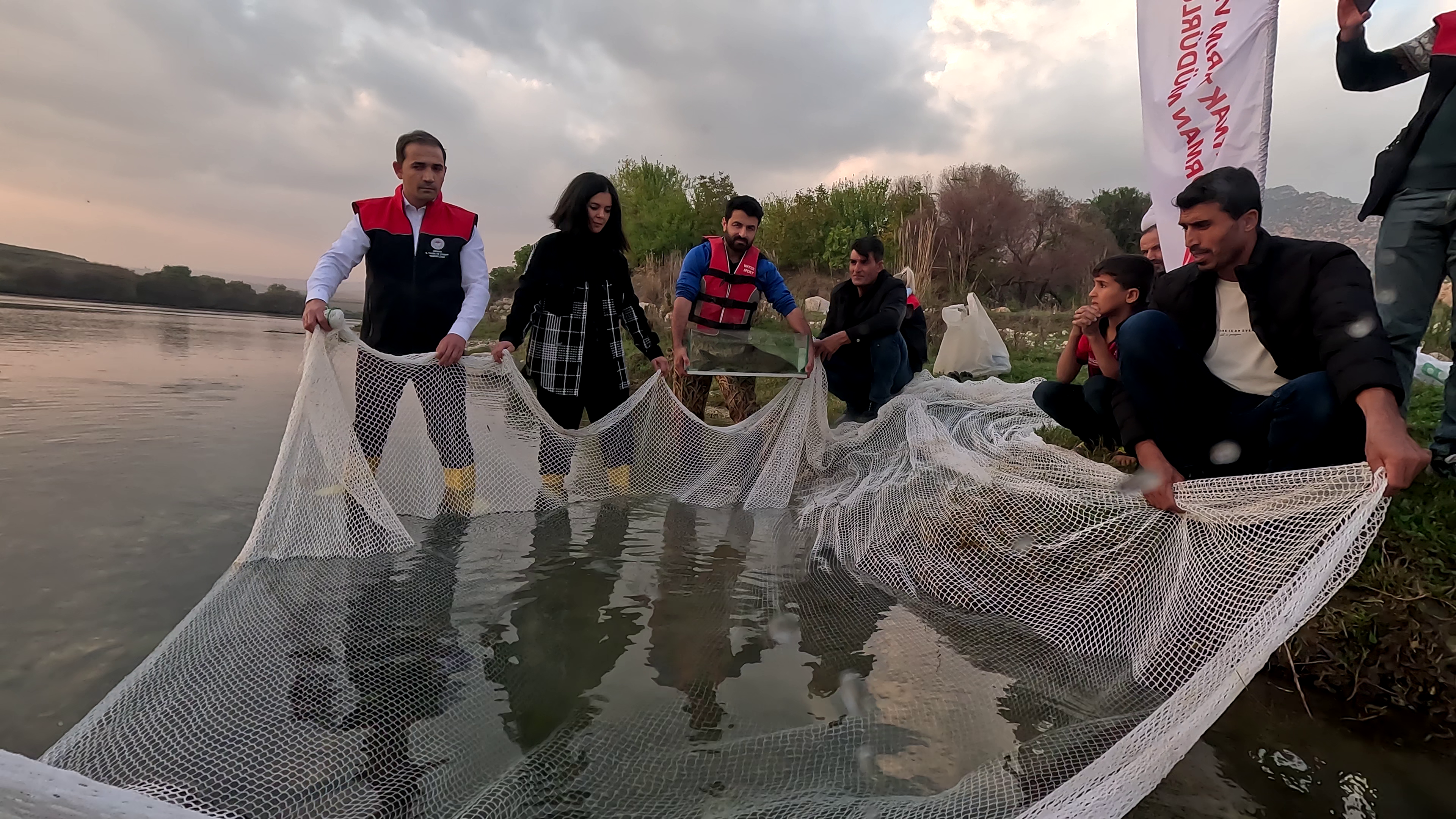 Four men, a woman and a young boy hold a large white net underwater by a river bank.