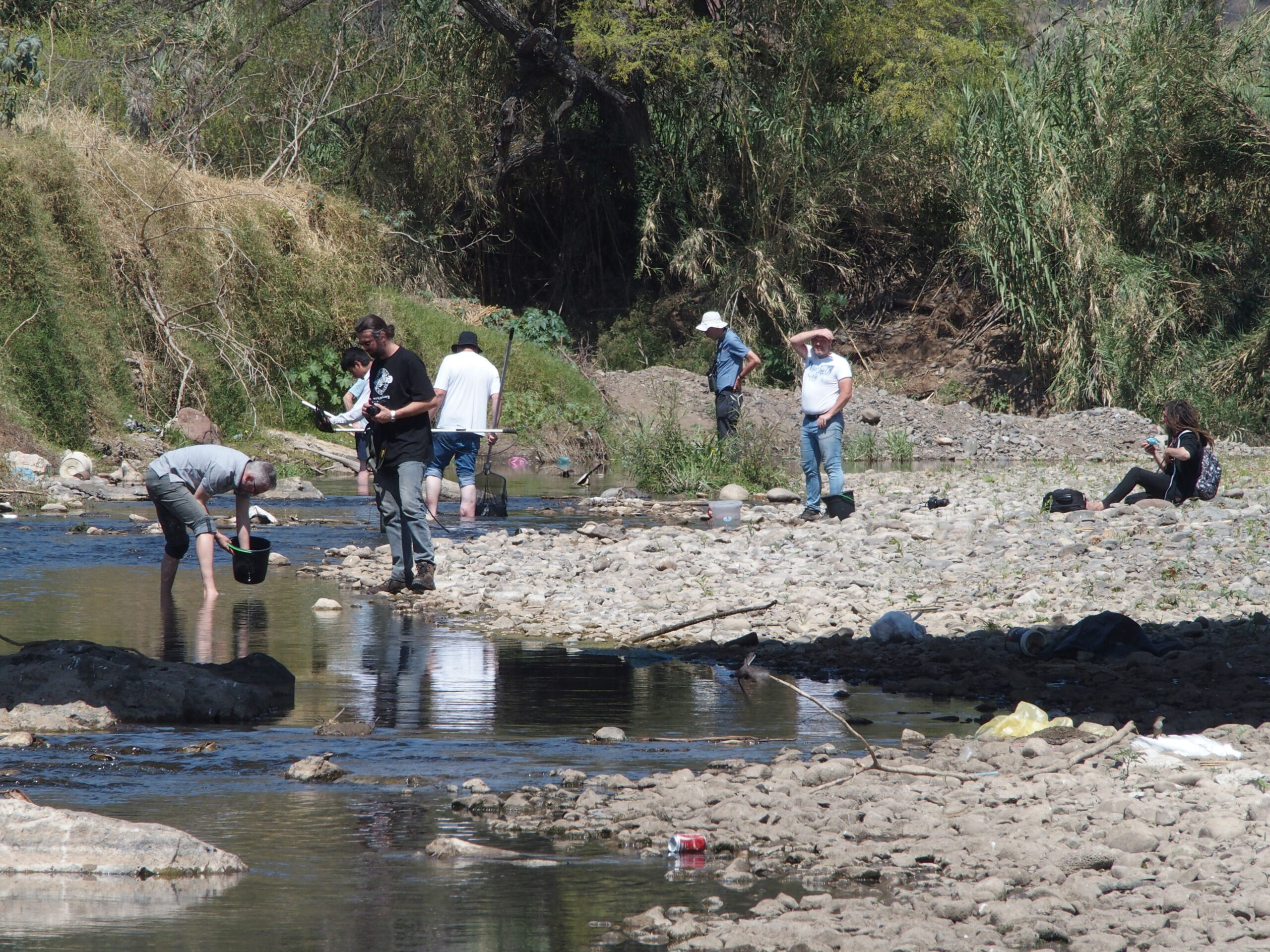 Michael and team in the field collecting goodeids in Mexico.