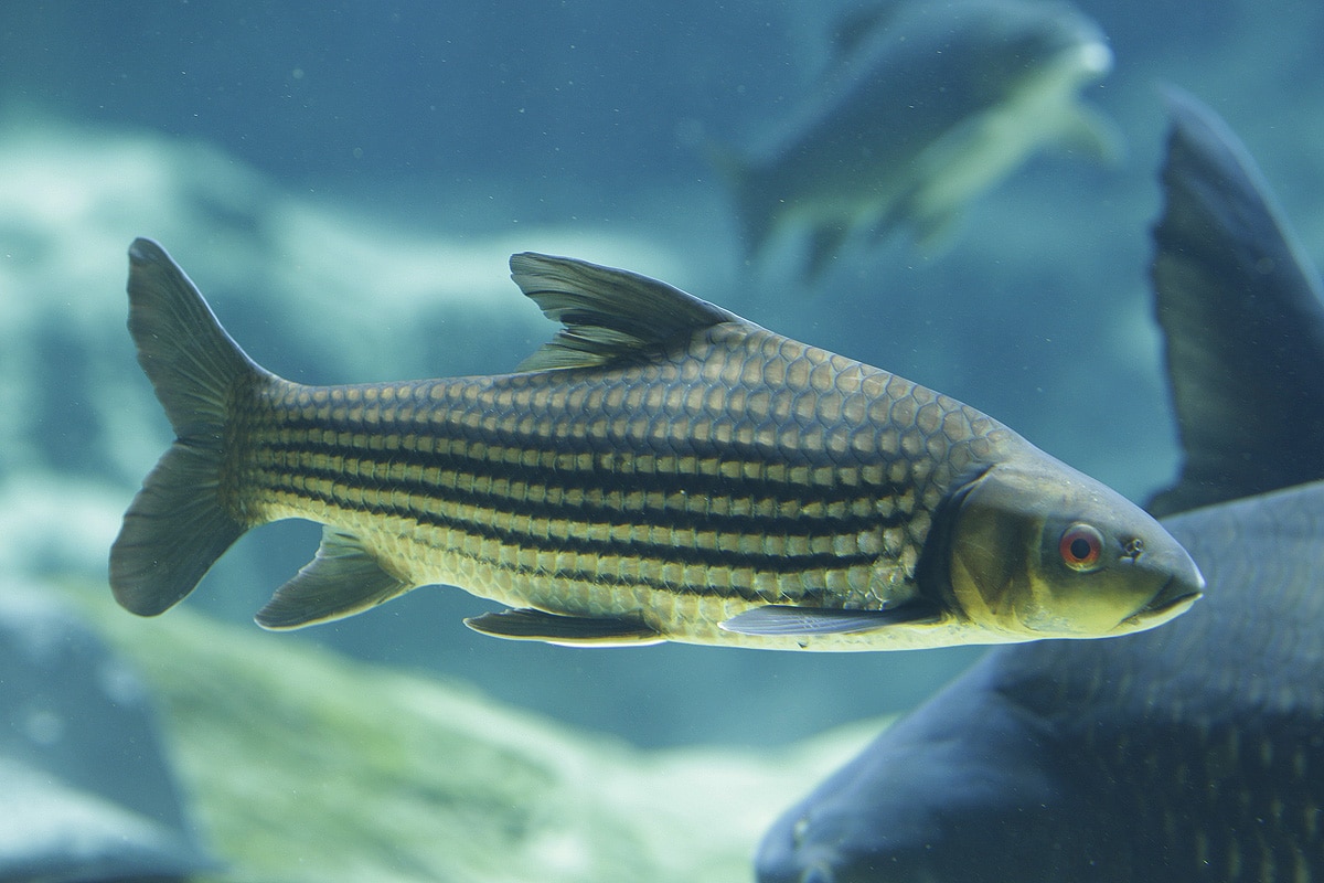 3c3d47f0b9aef54482d6e664f5d91112