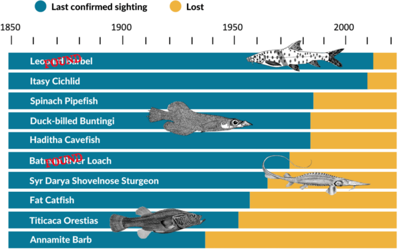 Lost Fishes last seen chart 1