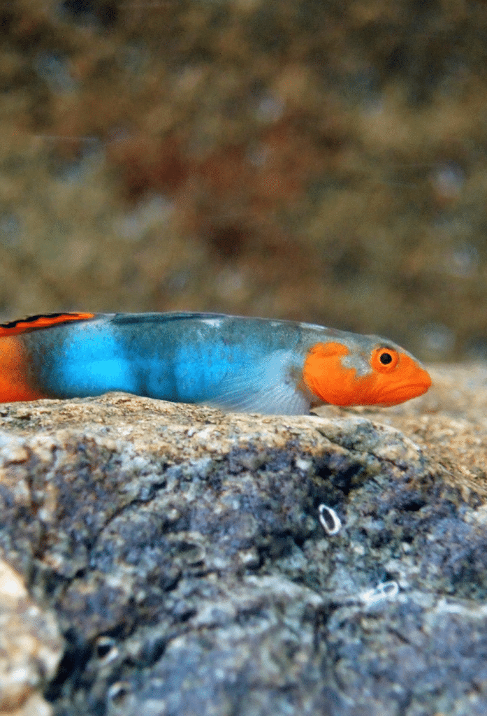 A9wjqhrj_13ku7uj_18ng