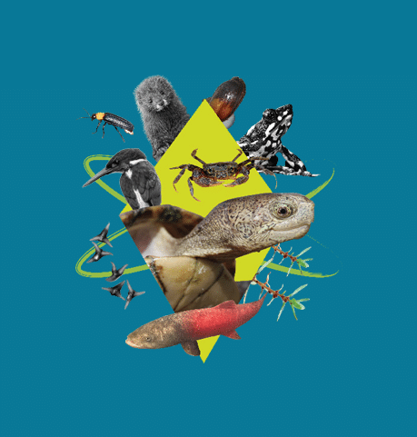 A9zhvvfy_1bmppq3_15y8