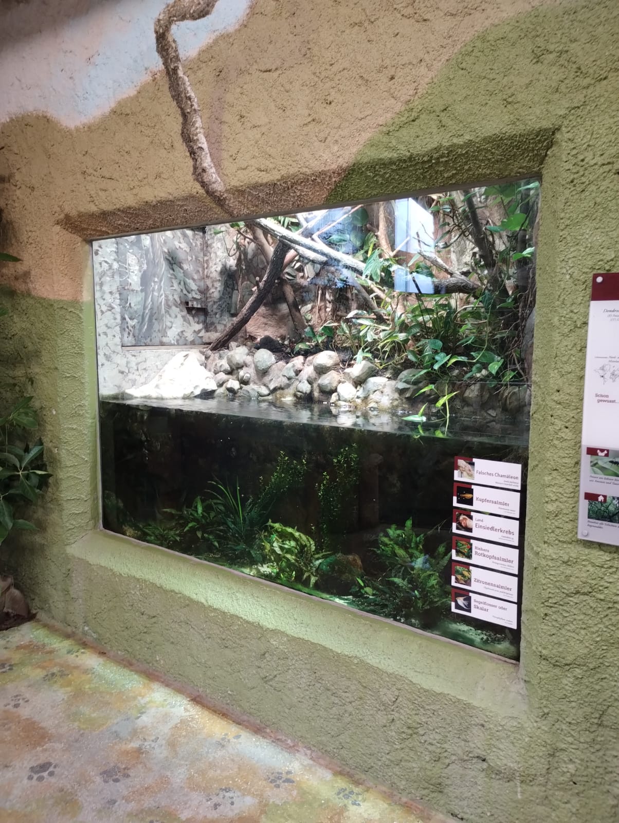 Future Goodeid aquarium in Salzburg Zoo