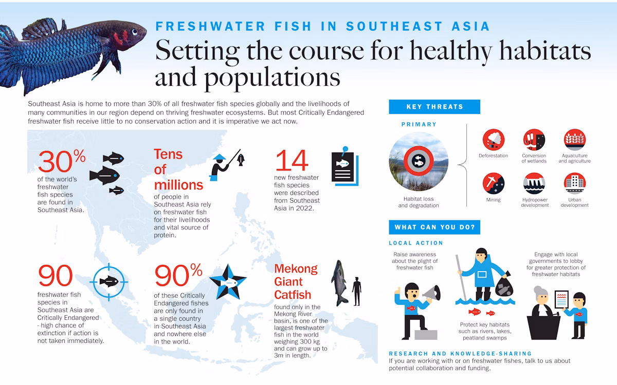 Infographic_Freshwater_Fish_in_Southeast_Asia