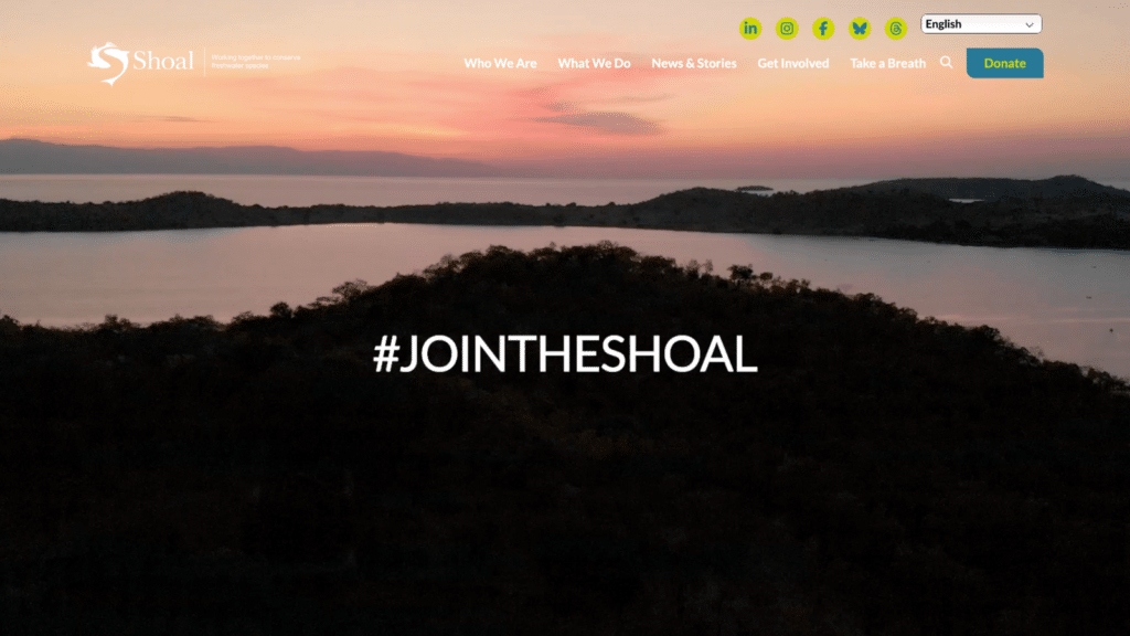 A sunset over a lake. Text says: #JOINTHESHOAL. Above is the menu of SHOAL’s website saying: “Who We Are. What We Do. News and Stories. Get Involved. Take A Breath. Donate.” as well as social icons.