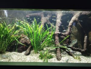 Wilhelma © Mike Köck