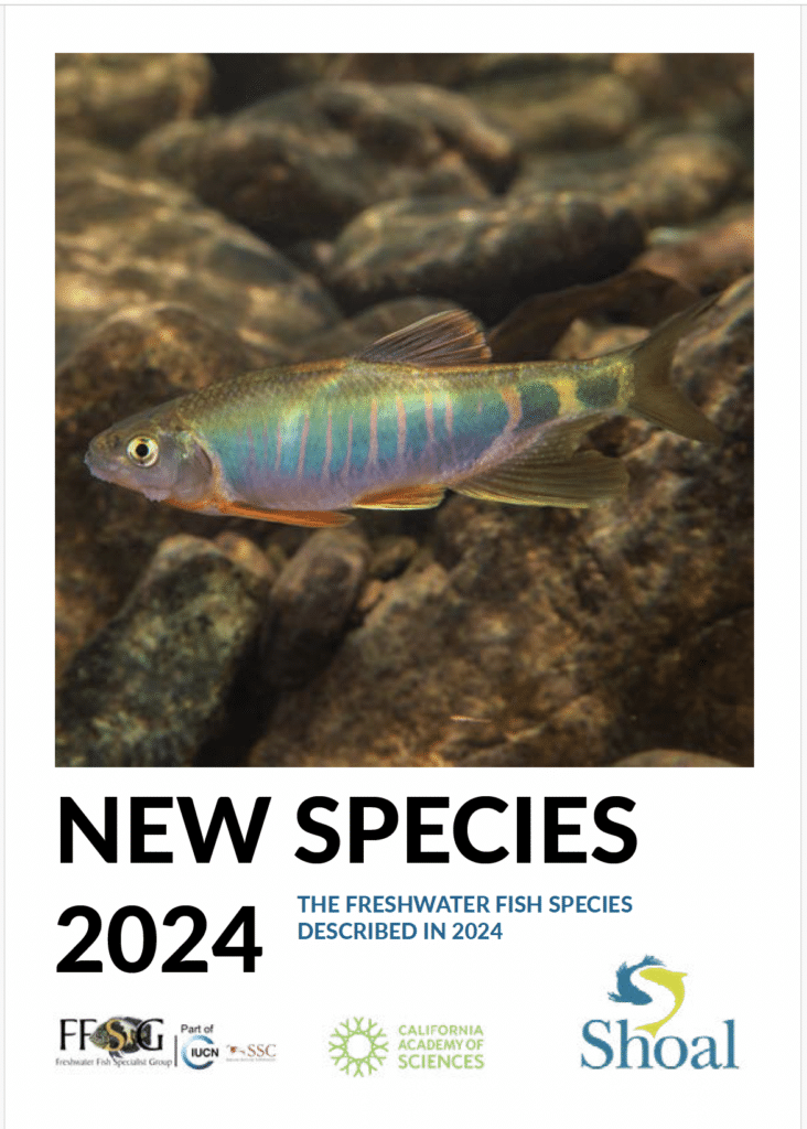 New Species 2024 report