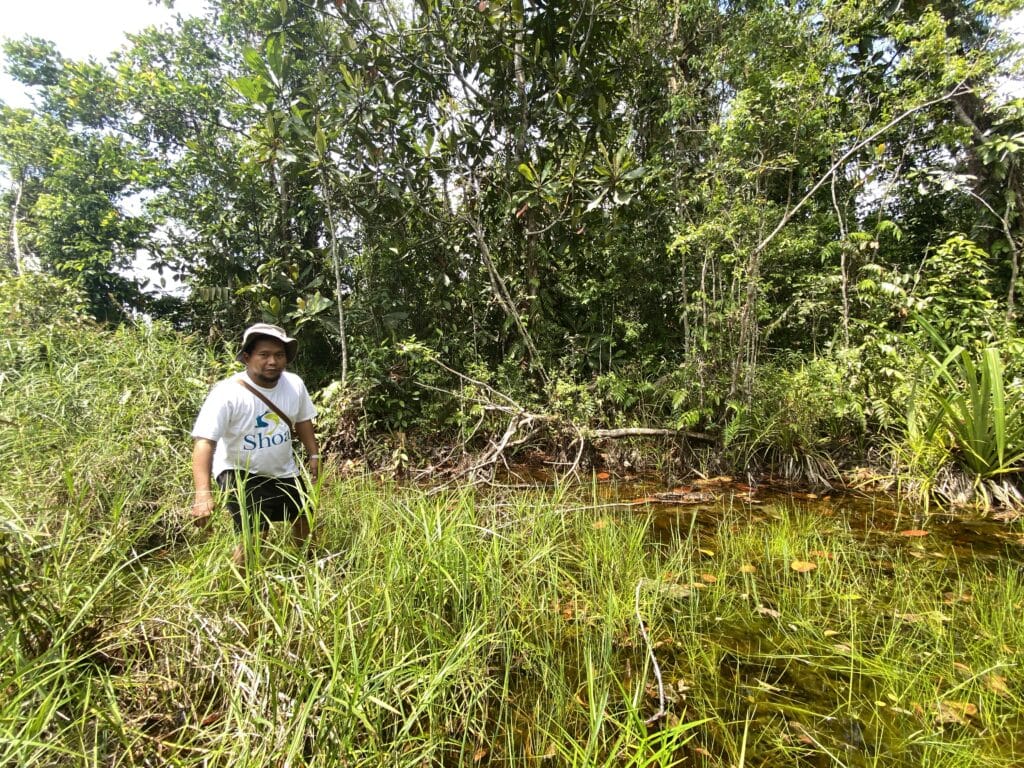 Dr. Veryl Hasan in Betta burdigala habitat © Josie South