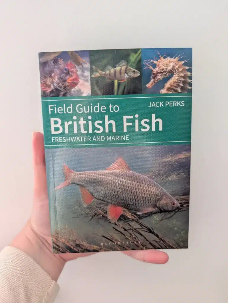 the cover stars © Jack Perks