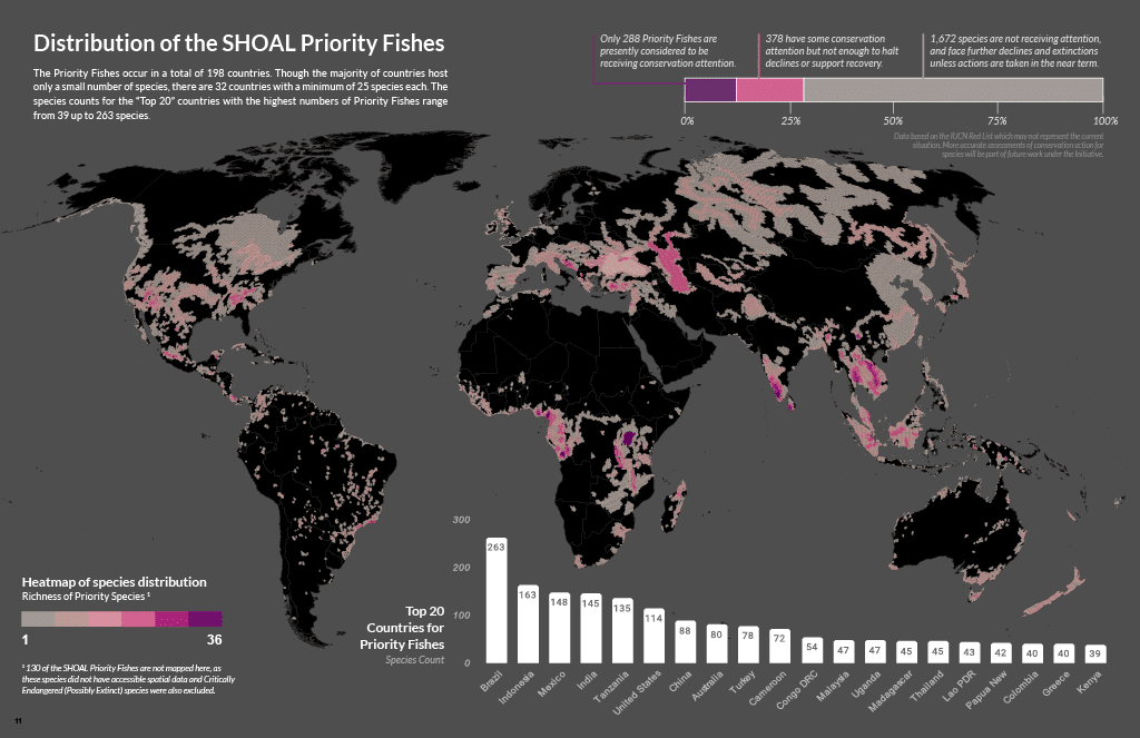 1750240250289-b4218627-7a0b-43dc-82f2-1c1e157b72f2_11