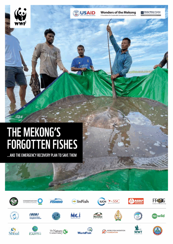 Pages from 4u7x78m72z_FINAL_Mekong_Forgotten_Fishes_web_version_