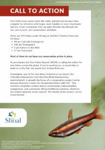 Coral Red Pencilfish call to action