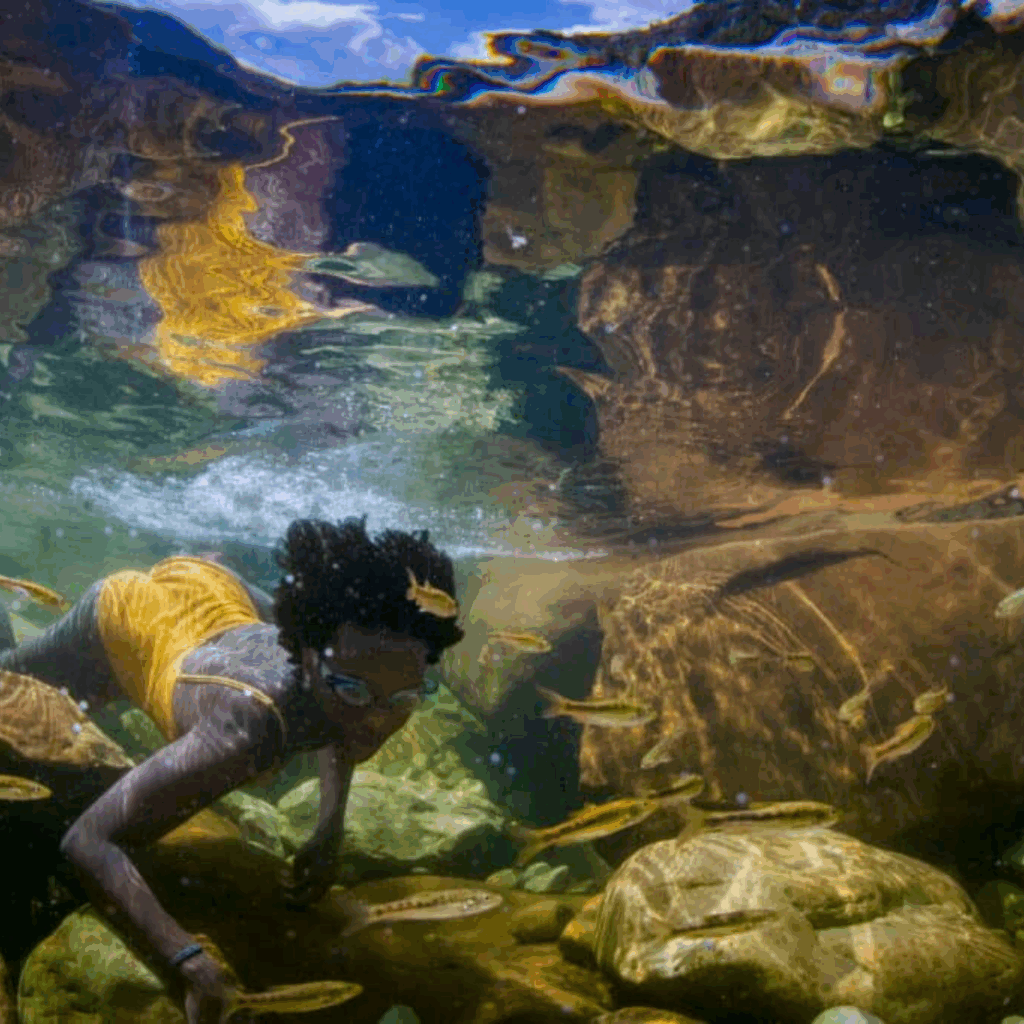 A woman swimming underwater surrounded by a shoal of fish.