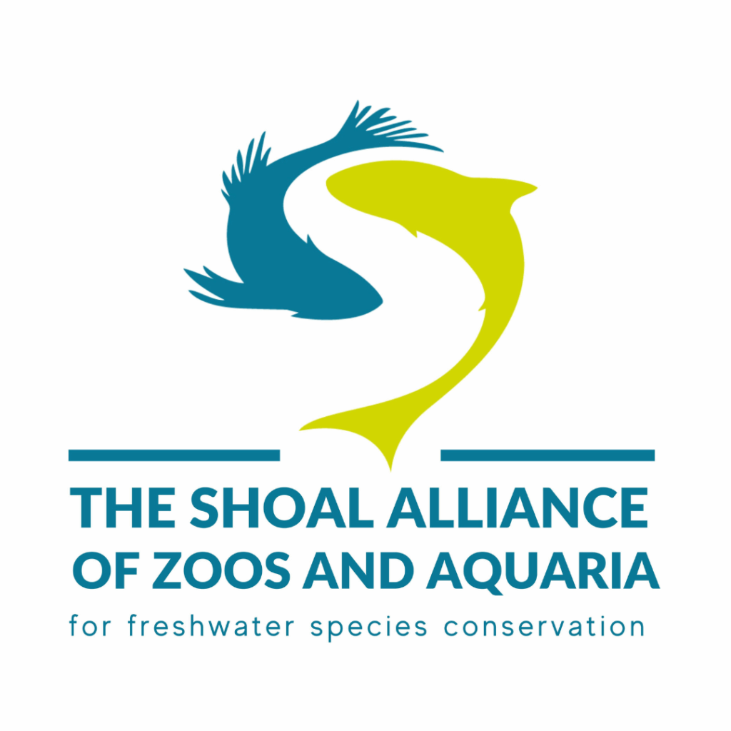 The logo of 'The SHOAL Alliance of Zoos and Aquaria for freshwater species conservation.'