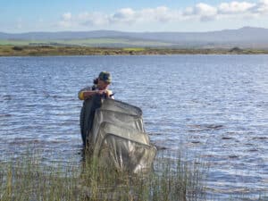Nuwejaars Fynbos Fish monitor Breyton Murtz © Nuwejaars River Nature Reserve