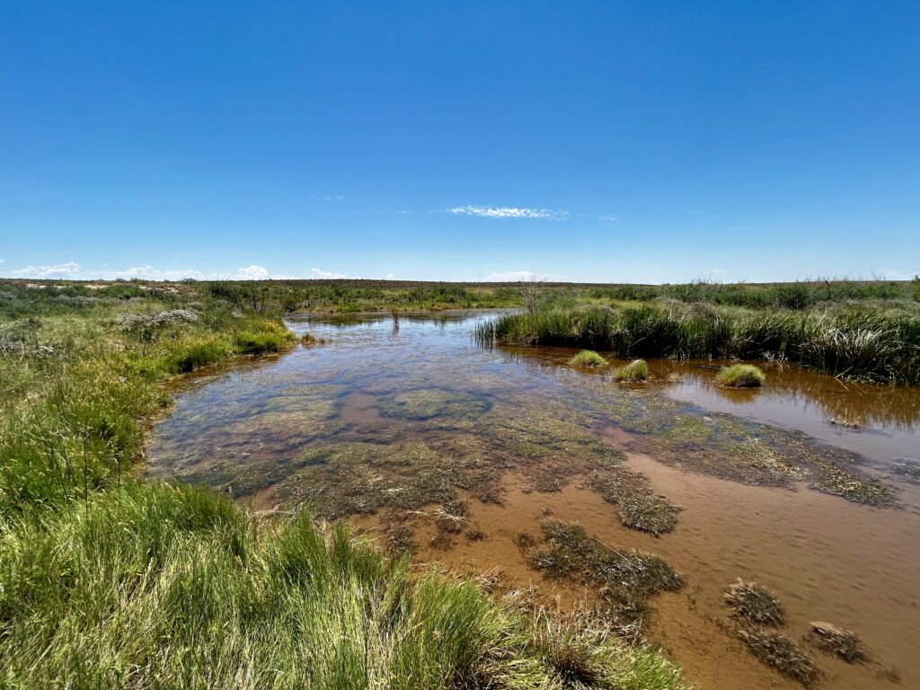 Butterfly Spring, Mexico © Michi Tobler