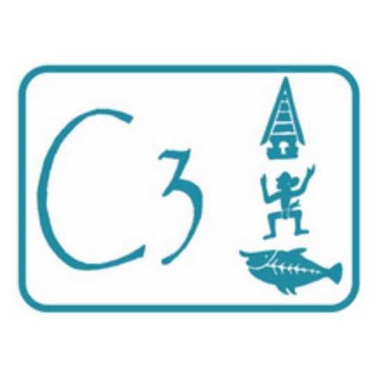 C3