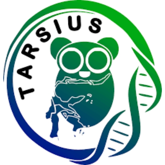 Tarsius