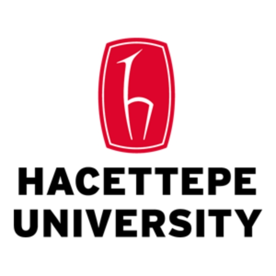 Hacettepe University