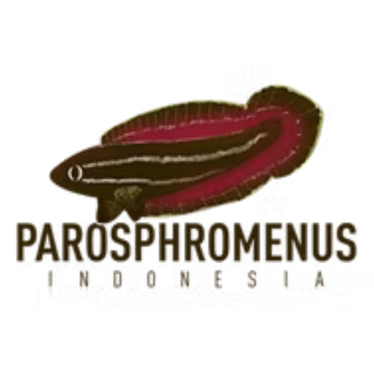Parosphromenus Indonesia