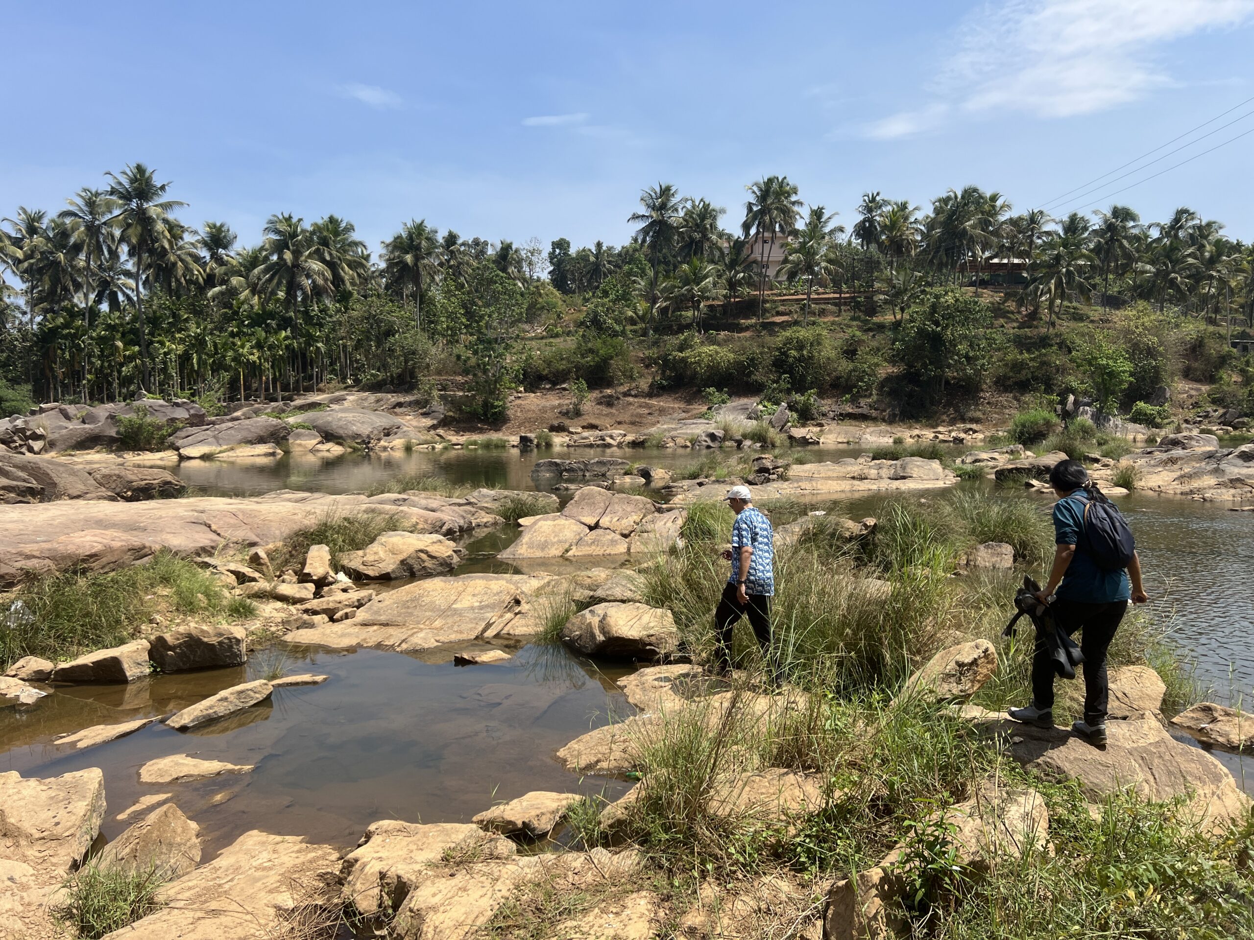 Denison's Barb habitat, Western Ghats © SHOAL