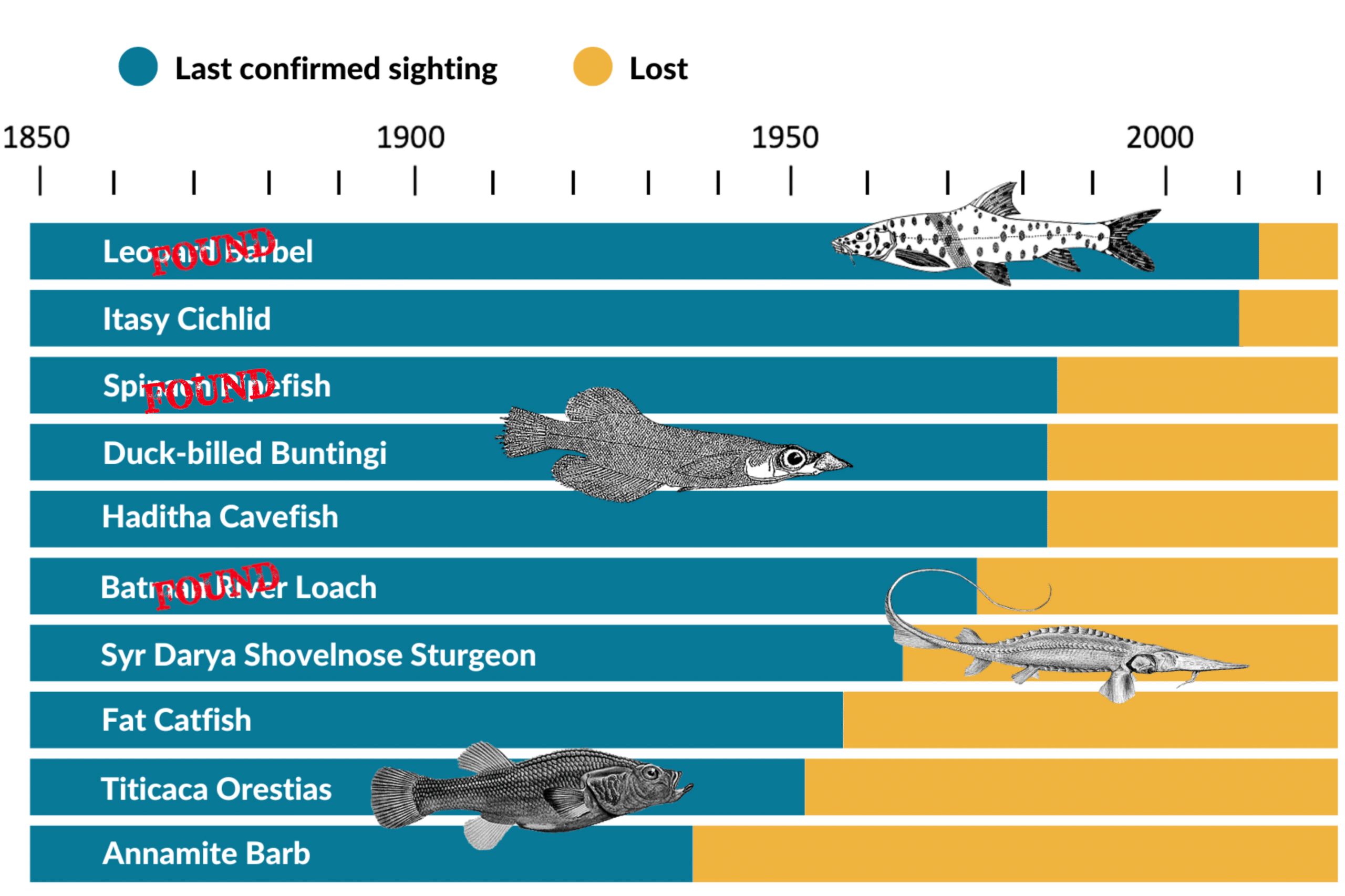 Lost Fishes last seen